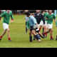 image 17 of 51